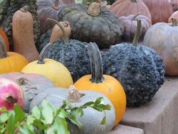 View of pumpkins for sale at market