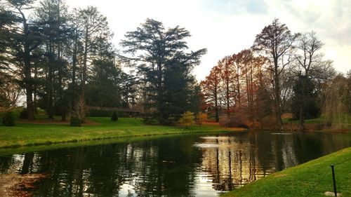 Reflection of trees in lake