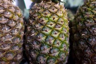 Close-up of fruits for sale in market