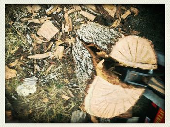 Full frame shot of dry leaf on field