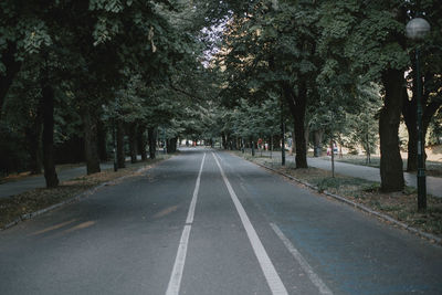 Empty road along trees