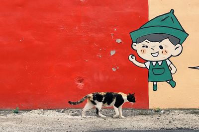 High angle view of dog on wall