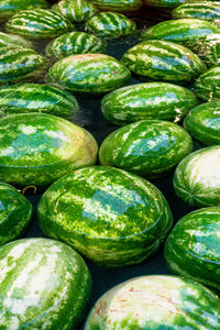 Full frame shot of vegetables