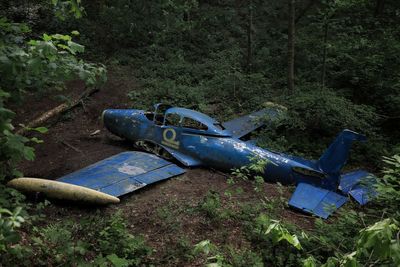 Abandoned airplane on field by trees in forest