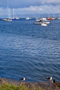 Boats moored on sea against sky