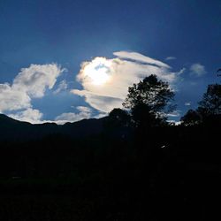 Silhouette trees in forest against sky