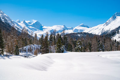 Val roseg, in engadine, switzerland, in winter, with snow-covered cross-country ski slopes.