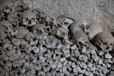 Skulls against wall