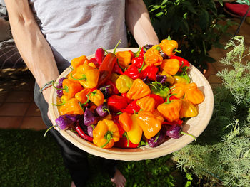 Chili pepper varieties 2022