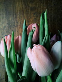 Close-up of tulips on table