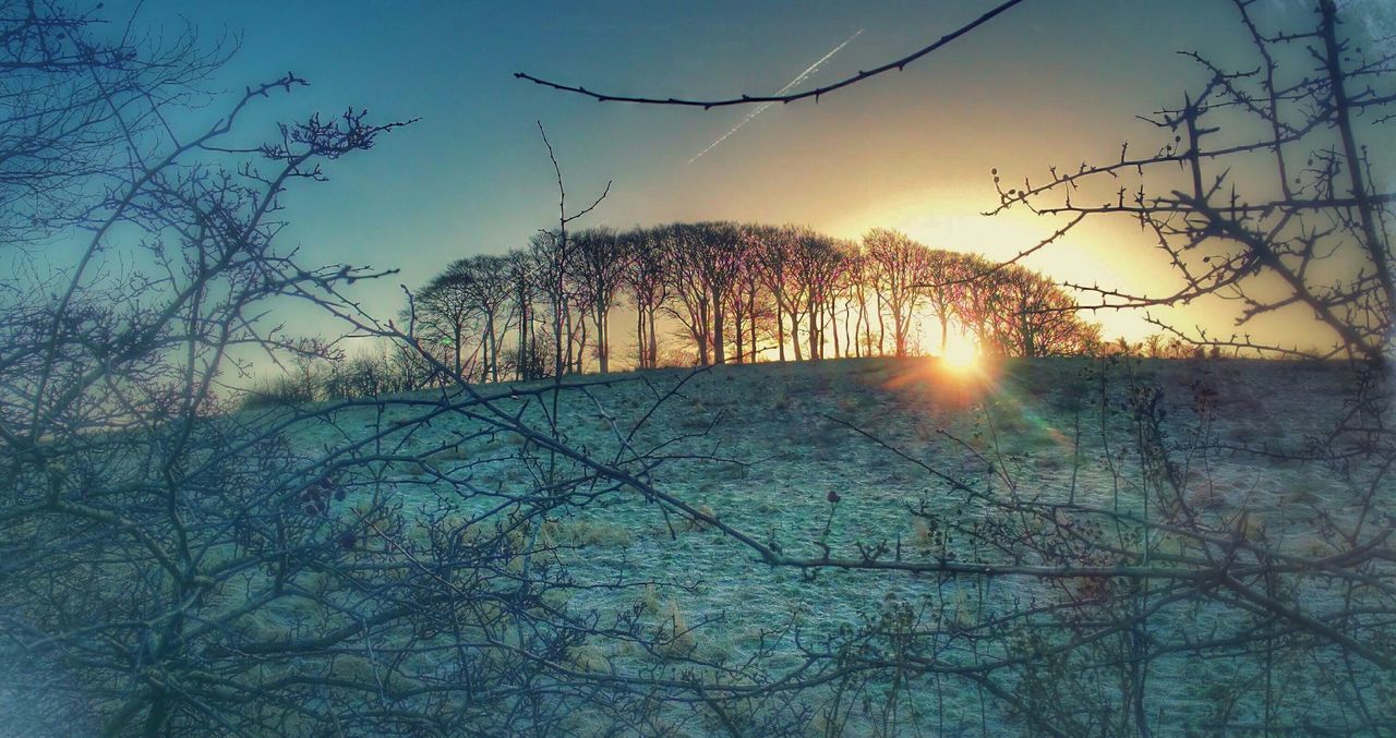 sky, sunset, sun, nature, tranquility, sunlight, no people, tree, outdoors, clear sky, tranquil scene, beauty in nature, low angle view, sunbeam, day