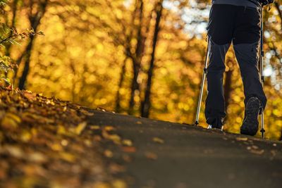 Low section of person standing on tree during autumn