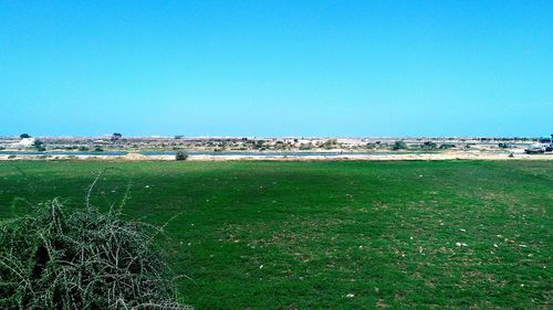 Scenic view of sea against clear blue sky