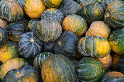 Full frame shot of pumpkins