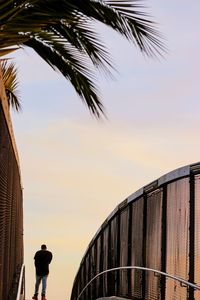 Man standing by palm trees against sky during sunset