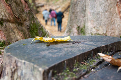 Close-up of men walking on footpath