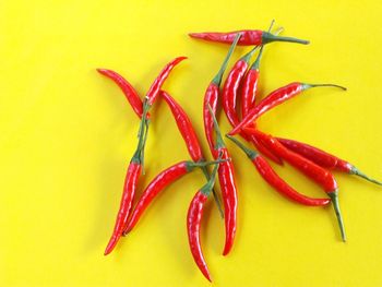High angle view of red chili peppers on yellow background