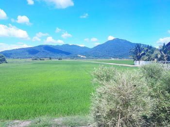 Scenic view of field against sky