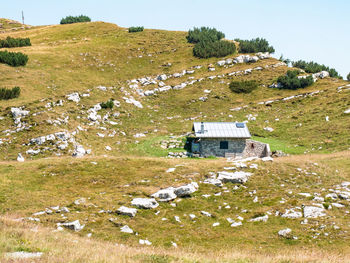 Houses on field against sky