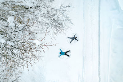 Low angle view of bird flying against sky