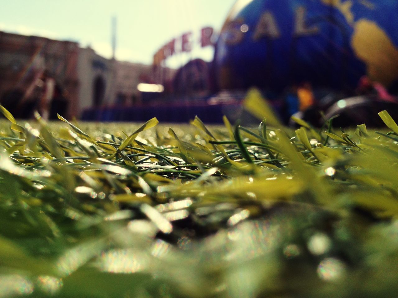 focus on foreground, selective focus, close-up, plant, surface level, growth, nature, focus on background, grass, built structure, green color, outdoors, day, water, architecture, building exterior, no people, leaf, field, tranquility