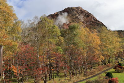 Plants growing on land against sky during autumn
