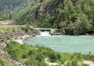Scenic view of waterfall in forest