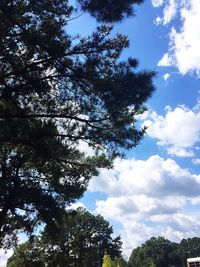 Low angle view of trees against cloudy sky