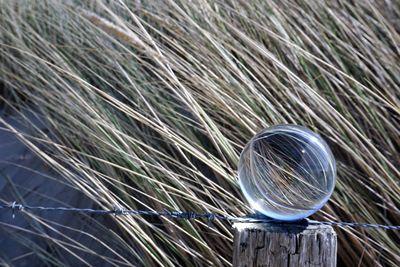 Close-up of crystal ball