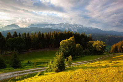 Scenic view of landscape against sky