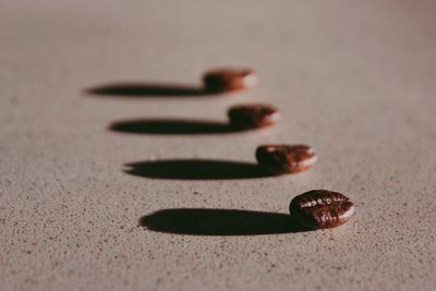 High angle view of coffee beans on table