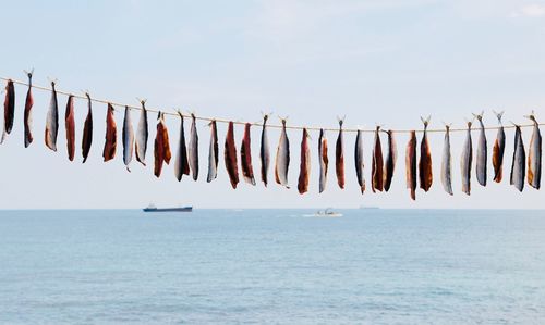 Clothes drying on rope against sea