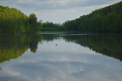 Scenic view of lake by trees against sky