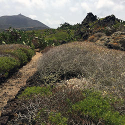 Scenic view of land against sky