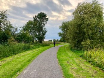 Road amidst trees against sky