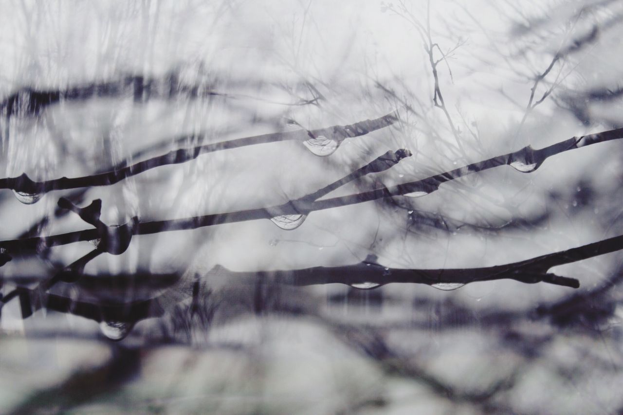 winter, cold temperature, snow, season, weather, frozen, focus on foreground, water, close-up, nature, branch, twig, tranquility, selective focus, outdoors, day, wet, fence, beauty in nature, sky