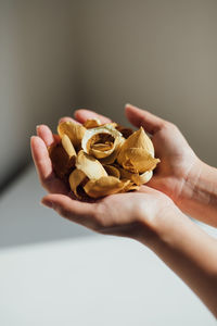 Close-up of hand holding mushroom