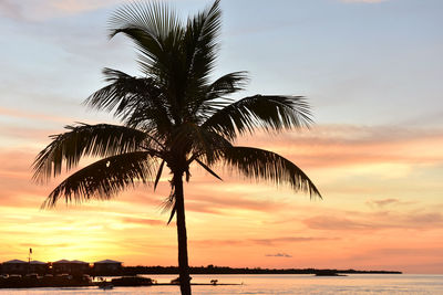 Silhouette palm tree by sea against sky during sunset