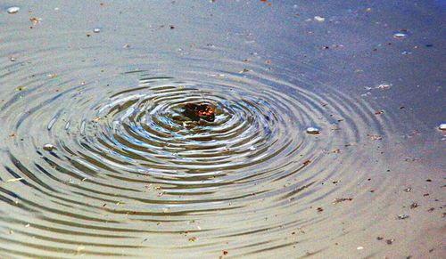 Full frame shot of water surface