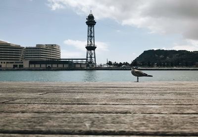 View of bird on building by sea against sky