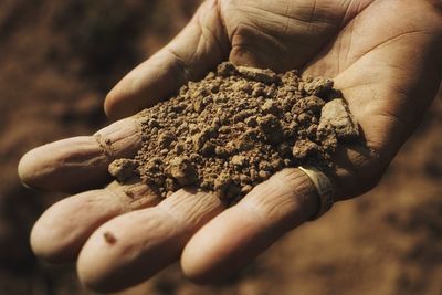 Close-up of hand holding soil