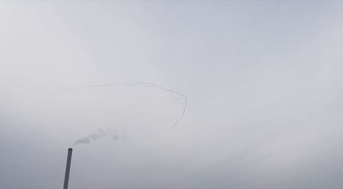 Birds flying against clear sky