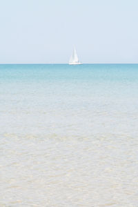 Sailboat sailing in sea against clear sky