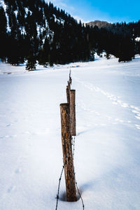 Close-up of frozen wooden post on snow field against sky