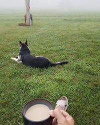 Man with dog on field