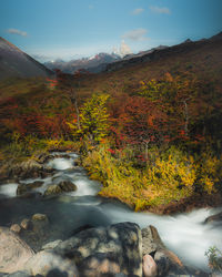 wilderness