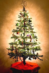 Christmas tree at home