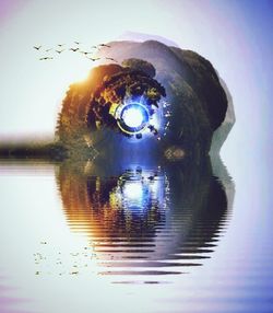 Reflection of trees in water