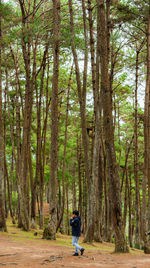 Rear view of man walking in forest
