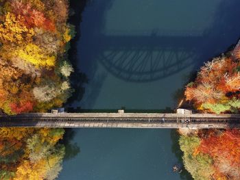 High angle view of lake by trees during autumn